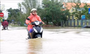 Quảng Ngãi: Sơ tán 800 hộ dân ra khỏi vùng bị ảnh hưởng bởi nước lũ dâng cao