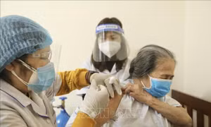 Hà Nội: Tiêm vaccine ngừa COVID-19 tại nhà cho người bại liệt, già yếu