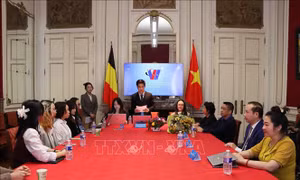 Hội Sinh viên Việt Nam tại Bỉ gắn kết và phát triển