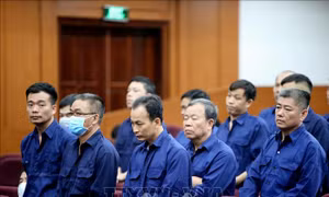 Tuyên án phúc thẩm vụ buôn lậu 200 triệu lít xăng