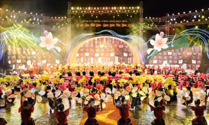 Khai mạc lễ hội Hoa Anh Đào - Điện Biên Phủ 
