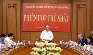 Chủ tịch nước: Tăng cường kiểm soát, nâng cao chất lượng đào tạo cử nhân luật 