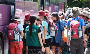 Hàn Quốc sơ tán 37.000 thành viên tham gia Đại hội Hướng đạo sinh thế giới do bão lớn