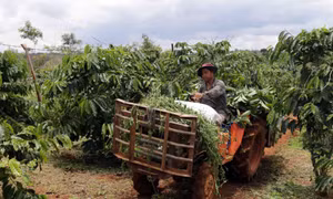 Đắk Nông: Bổ sung chính sách hỗ trợ, khuyến khích giảm nghèo bền vững