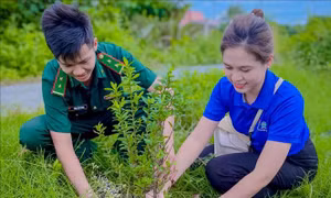 Tuổi trẻ xứ Dừa tự hào tiến bước dưới cờ Đảng - Bài cuối: Phát huy vai trò đảng viên trẻ thế hệ 'Đồng khởi mới'