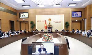 Chùm ảnh UBTV Quốc hội cho ý kiến về dự án Luật sửa đổi, bổ sung một số điều của Luật Tần số vô tuyến điện