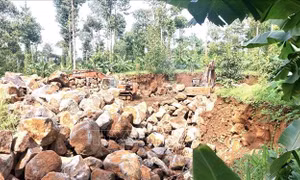 Ngang nhiên khai thác đá mồ côi giữa rốn rừng phòng hộ