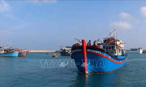 Dịch vụ hậu cần nghề cá ở quần đảo Trường Sa