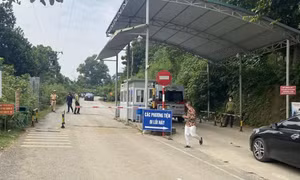 Xử lý nghiêm đối tượng gây mất trật tự ATGT tại cung đường Vườn Quốc gia Ba Vì