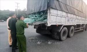 Thu giữ 42 tấn hạt cà phê cùng số lượng lớn hàng hóa không rõ nguồn gốc