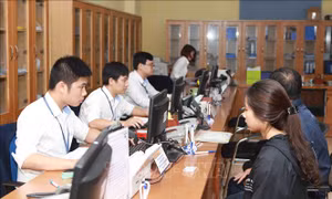 Quy định về vị trí việc làm và biên chế công chức
