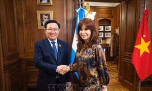 Chủ tịch Quốc hội Vương Đình Huệ gặp Chủ tịch Thượng viện, Phó Tổng thống Argentina 