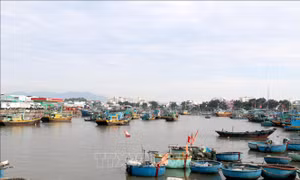 100% tàu cá ở Bình Thuận đã lắp đặt thiết bị giám sát hành trình
