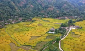Khơi dậy sức dân, hiệp đồng xây dựng nông thôn mới