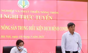 Sẽ lập tổ liên ngành giải quyết vướng mắc trong sản xuất, tiêu thụ nông sản