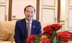 Giao lưu hữu nghị Việt-Lào đầu Xuân Nhâm Dần tại Brussels