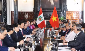 Chủ tịch nước Lương Cường hội đàm với Tổng thống Peru Dina Ercilia Boluarte Zegarra