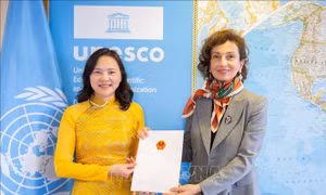 Đại sứ Nguyễn Thị Vân Anh trình thư ủy nhiệm lên Tổng giám đốc UNESCO