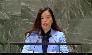 Xung đột Hamas-Israel: Việt Nam khẩn thiết kêu gọi ngừng bắn, bảo vệ dân thường