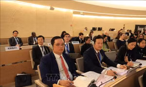 Việt Nam đóng góp thiết thực cho Hội đồng Nhân quyền Liên hợp quốc 