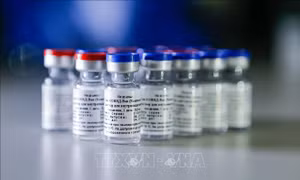  Nga: Giá xuất khẩu 2 liều vaccine Sputnik V ít nhất là 10 USD