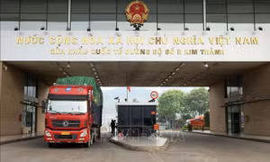Cửa khẩu Lào Cai từng bước phục hồi hoạt động xuất nhập khẩu