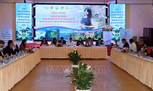Kỳ vọng sản phẩm du lịch độc đáo khi 'rừng và biển liên kết'
