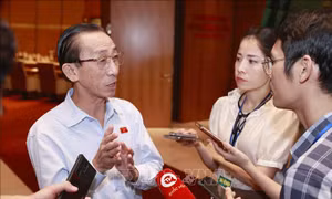 Bên lề Quốc hội: Đảm bảo sử dụng hiệu quả đất công, hạn chế thu hồi đất tràn lan