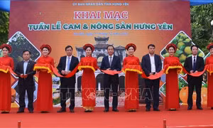 Cam và nông sản Hưng Yên được tiêu thụ mạnh tại Hà Nội