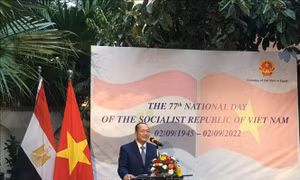 Quan hệ Việt Nam - Ai Cập ngày càng mở rộng trên các lĩnh vực