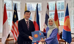 Việt Nam đảm nhiệm Chủ tịch luân phiên Uỷ ban ASEAN tại Praha 