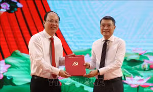 Ông Nguyễn Hồ Hải giữ chức Bí thư Tỉnh ủy Cà Mau