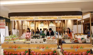 Khai mạc Tuần hàng Việt Nam tại Nhật Bản