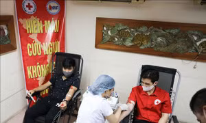 Phát động hai cuộc thi về đề tài Nhân đạo