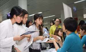 Rà soát nhu cầu tuyển sinh và đào tạo giáo viên từ năm 2022-2025