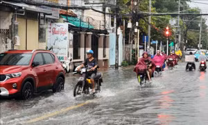 Vĩnh Long ứng phó triều cường dự báo vượt mức báo động 3