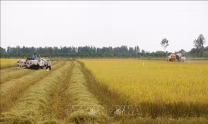 Đồng bào Khmer phấn khởi đón mừng lễ Sene Dolta