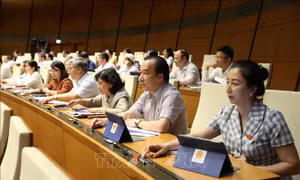 Công bố Lệnh của Chủ tịch nước về 10 luật vừa được Quốc hội thông qua