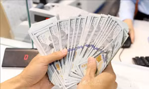 Giá USD sáng 2/7 tăng nhẹ