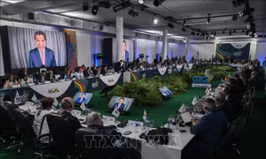 Hội nghị Bộ trưởng Kinh tế G20 khai mạc tại Brazil 