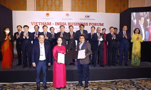 Doanh nghiệp Việt Nam và Ấn Độ hợp tác phát triển hạ tầng, công nghiệp 
