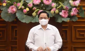 Thủ tướng bổ nhiệm nhân sự 2 cơ quan 