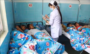 135 học sinh ngộ độc thực phẩm ở Lâm Đồng đã bình phục