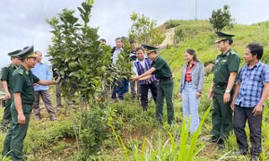 Bộ đội Biên phòng giúp đồng bào vùng biên đẩy lùi nghèo khó