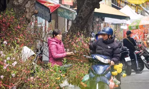 Phong vị Tết Hà Nội xưa và nay