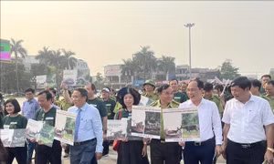 Phát động chiến dịch hành động vì động vật hoang dã ở Quảng Trị