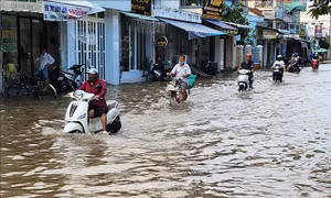 Vĩnh Long xây dựng 2 kịch bản ứng phó với mưa lũ, triều cường 