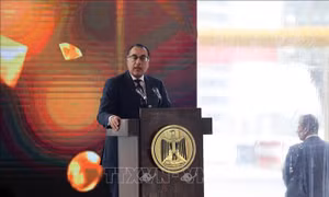 Ai Cập sẵn sàng đăng cai hội nghị quốc tế về phục hồi sớm và tái thiết Gaza