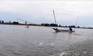 Tăng thu nhập từ 'lộc trời' mùa lũ