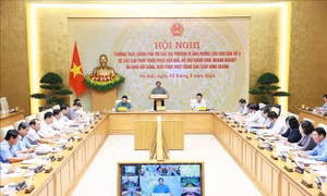 Thủ tướng chủ trì Hội nghị trực tuyến về khắc phục hậu quả bão số 3